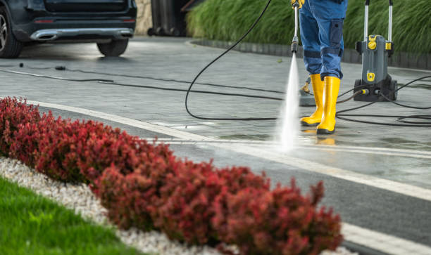 Best Roof Washing  in Verona, VA